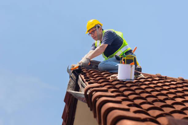 Best Roof Moss and Algae Removal  in Bethel Rk, PA